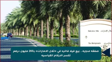 صفقة مدوية.. بيع فيلا فاخرة في «تلال الإمارات» بـ260 مليون درهم تكسر الأرقام القياسية